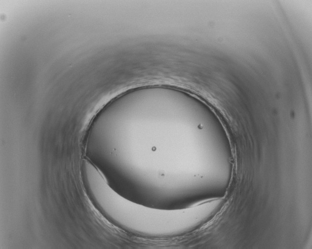 X0000061111500200512091804