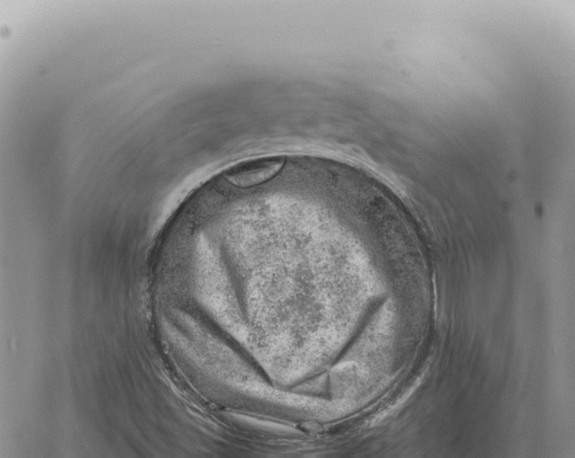 X0000061111501200512091804