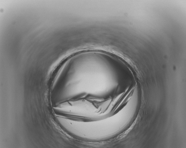 X0000061111502200512091804