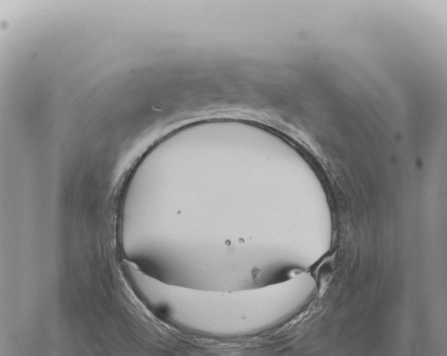 X0000061111504200512091804