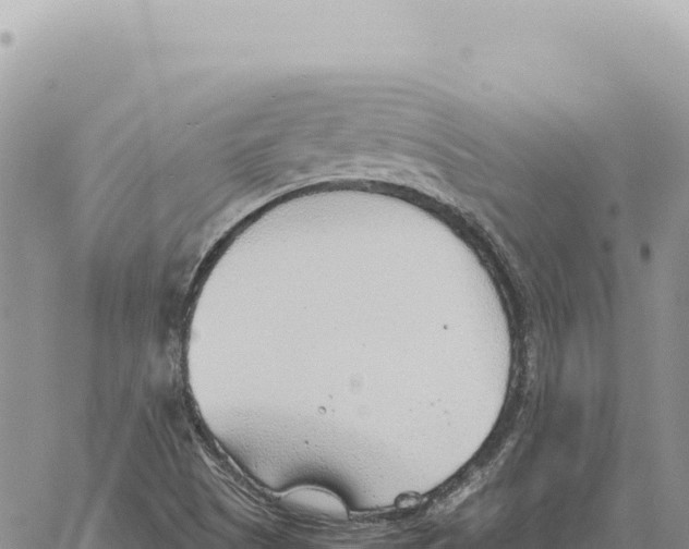 X0000061111505200512091804