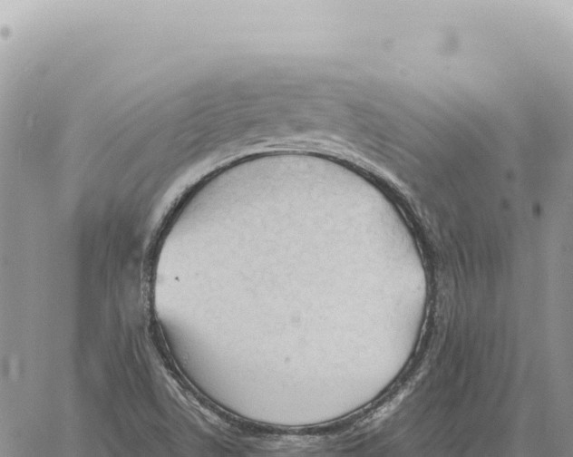 X0000061111506200512091804