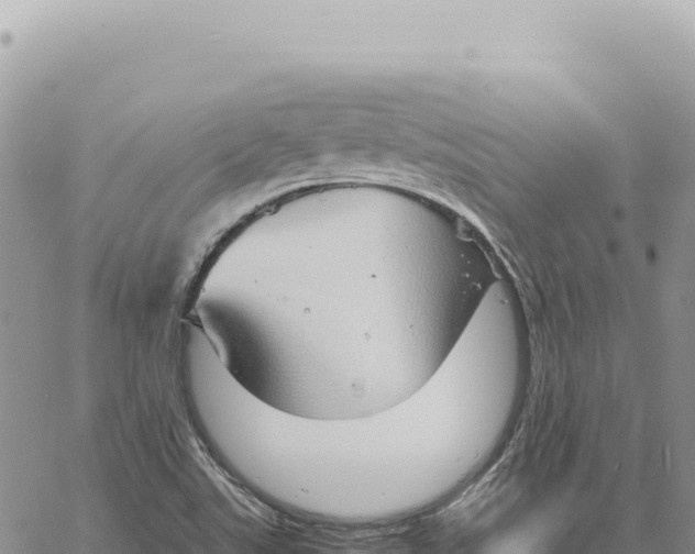 X0000061111507200512091804