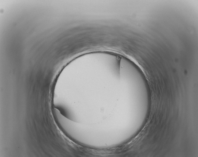 X0000061111508200512091804