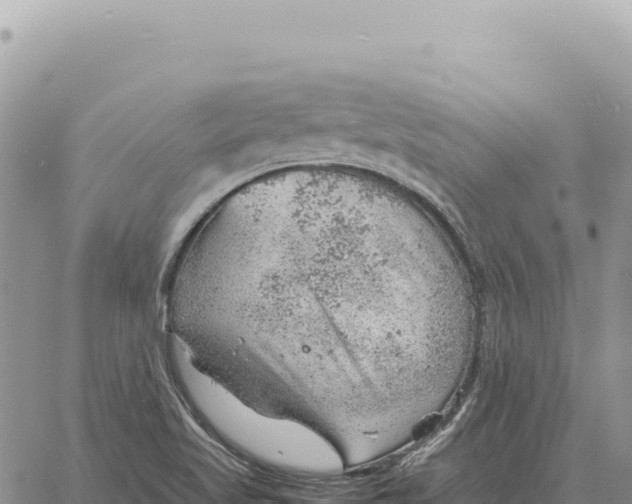 X0000061111509200512091804