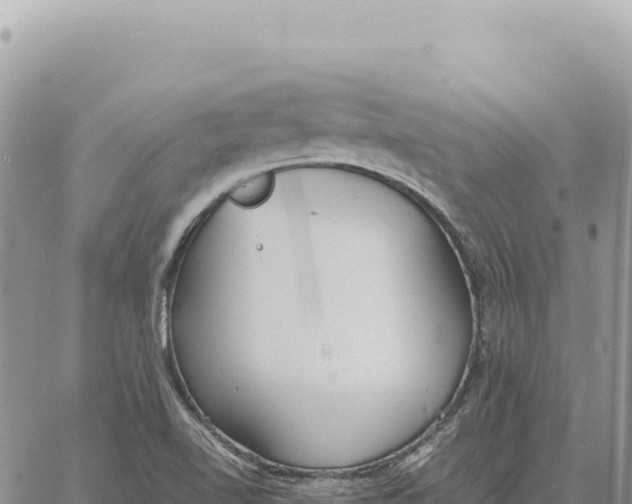 X0000061111510200512091804