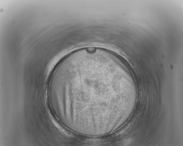 X0000061111511200512091804