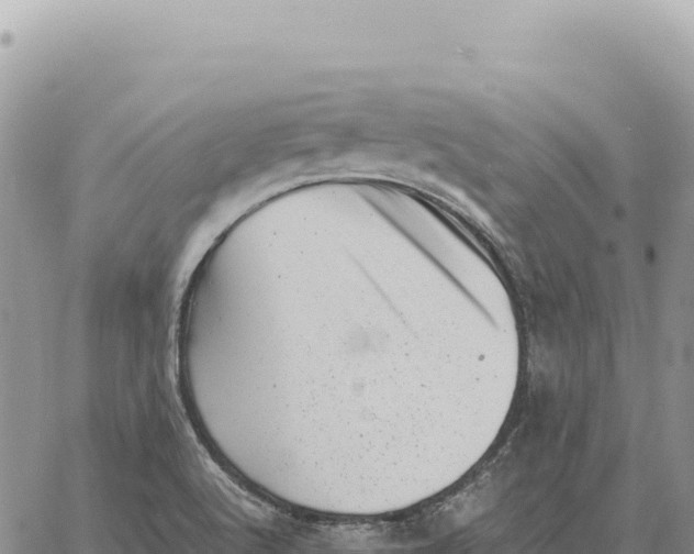 X0000061111512200512091804