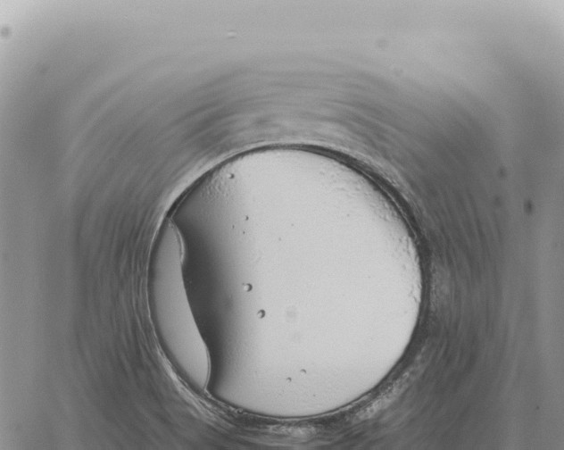 X0000061111513200512091804