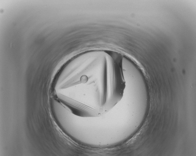 X0000061111514200512091804