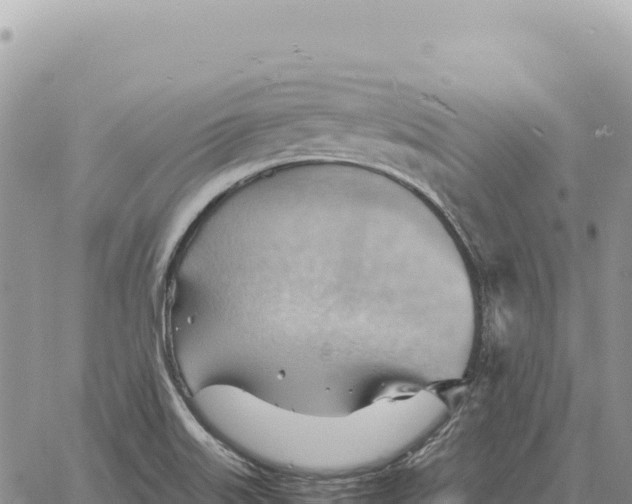 X0000061111515200512091804