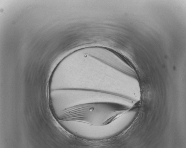 X0000061111516200512091804