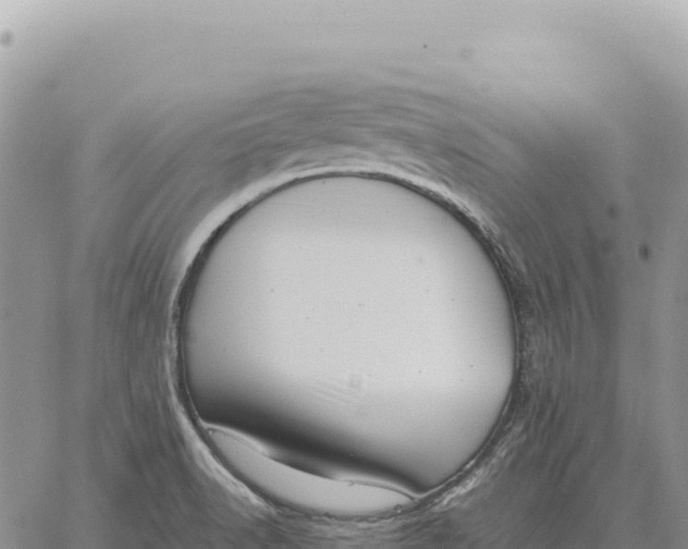 X0000061111518200512091804