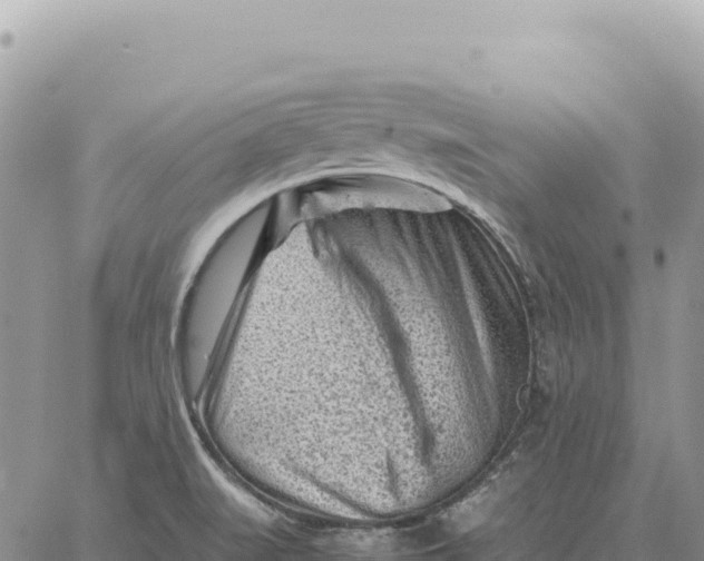 X0000061111519200512091804