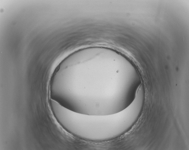 X0000061111520200512091804