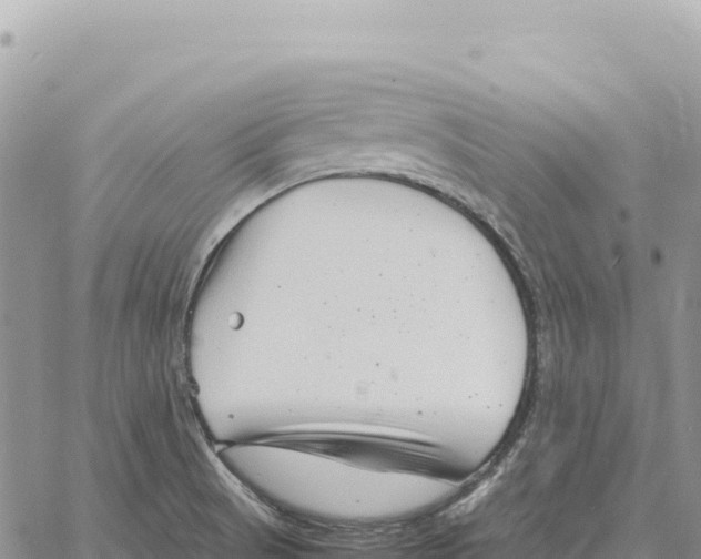 X0000061111521200512091804