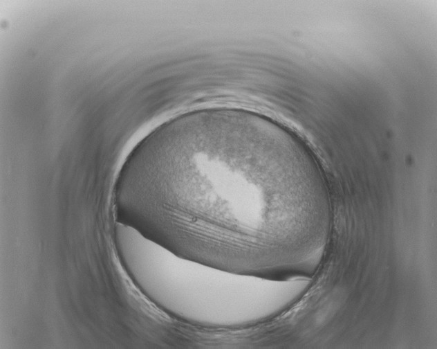 X0000061111522200512091804