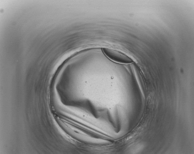 X0000061111523200512091804