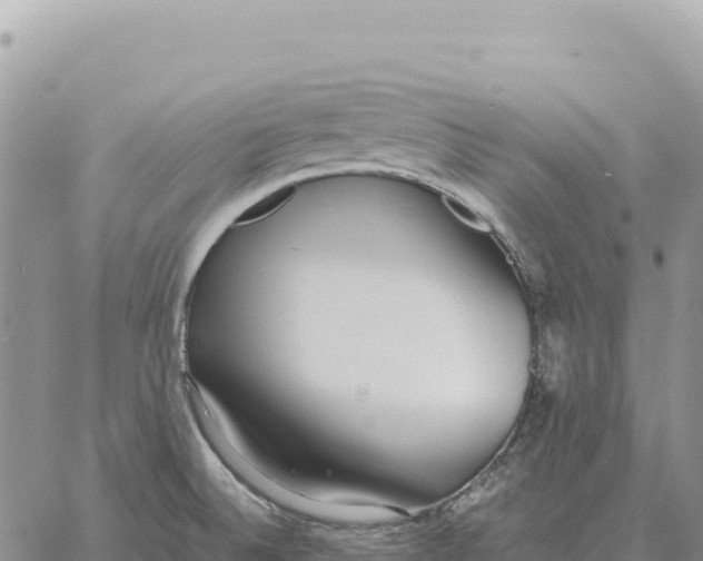 X0000061111524200512091804