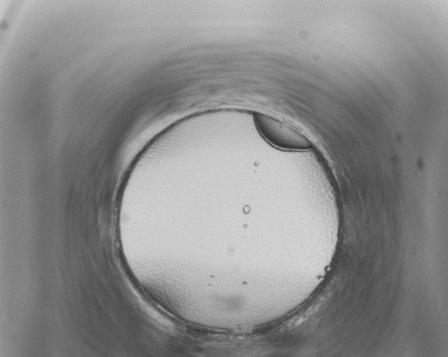 X0000061111525200512091804