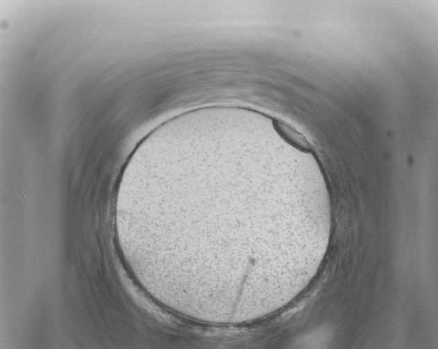 X0000061111526200512091804