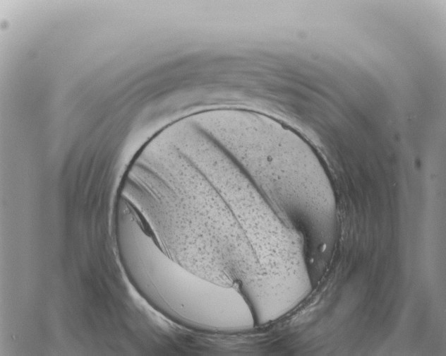 X0000061111527200512091804