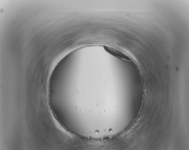 X0000061111528200512091804