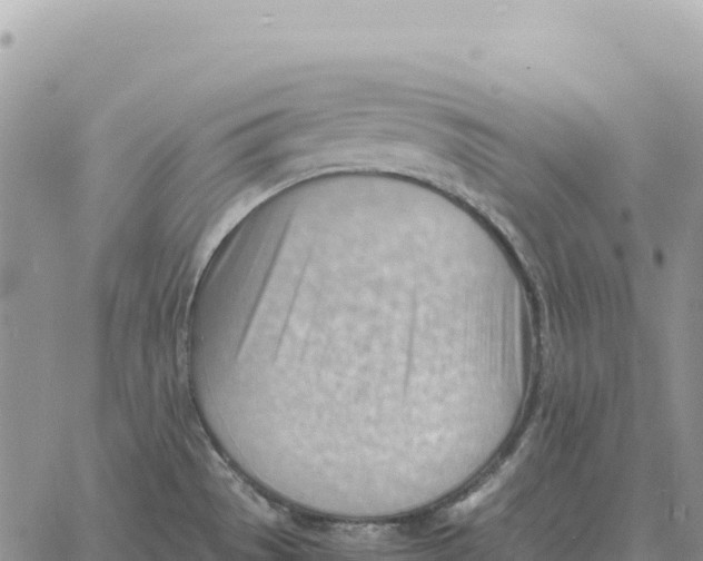 X0000061111529200512091804