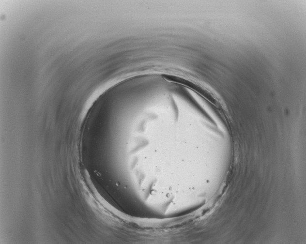 X0000061111530200512091804