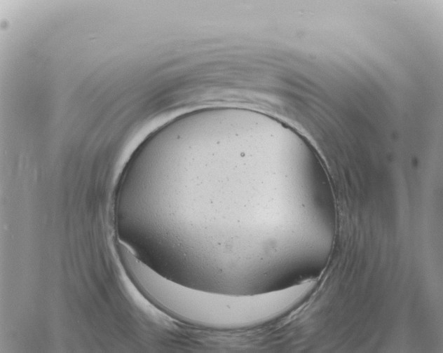 X0000061111531200512091804