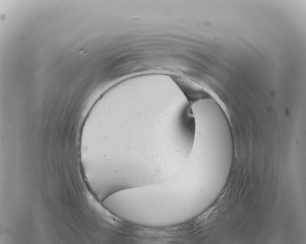 X0000061111532200512091804