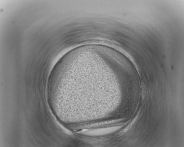 X0000061111533200512091804