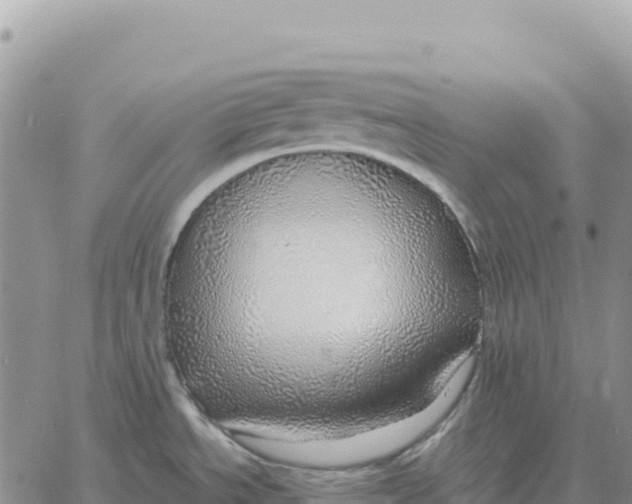 X0000061111534200512091804