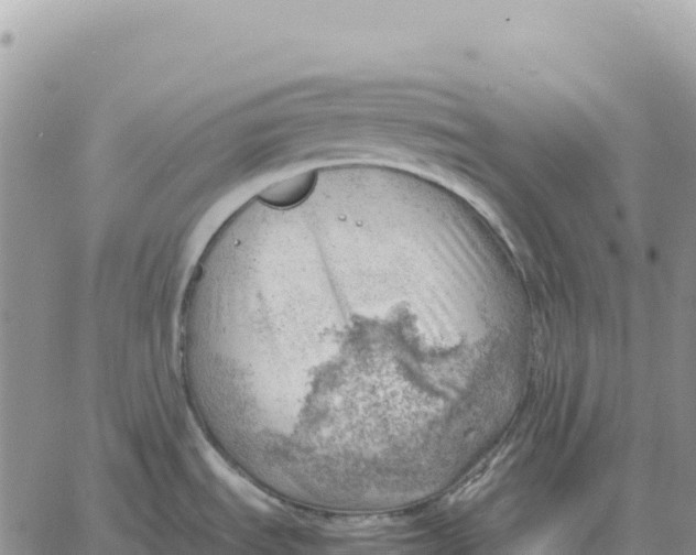 X0000061111535200512091804