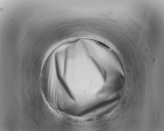 X0000061111536200512091804