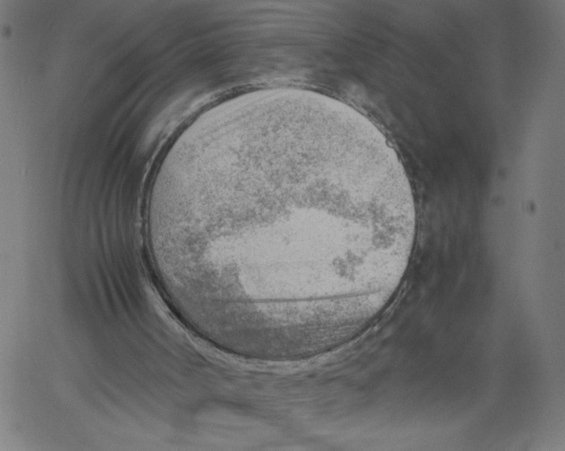 X0000061110002200512161425