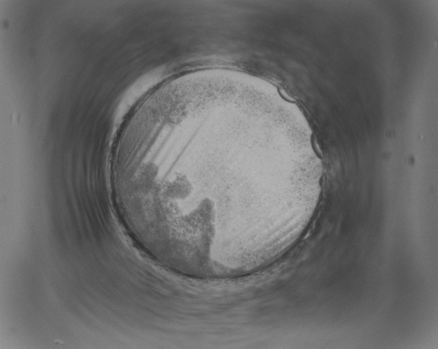 X0000061110006200512161425