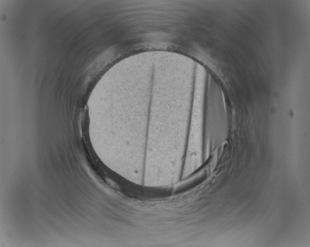 X0000061110013200512161425