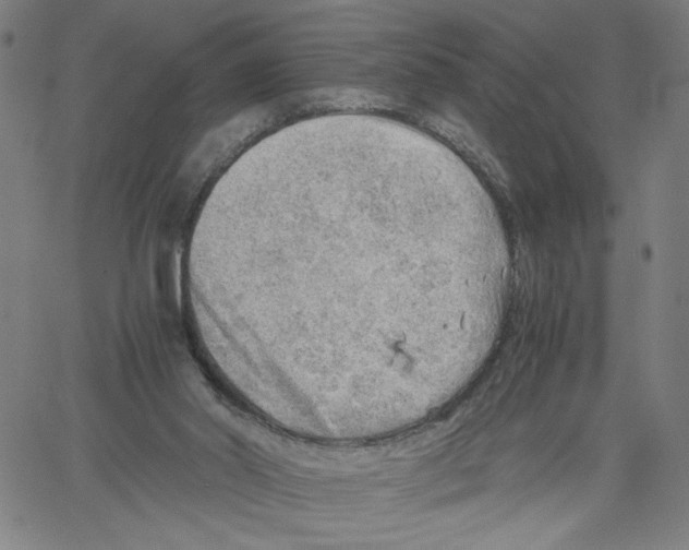 X0000061110014200512161425