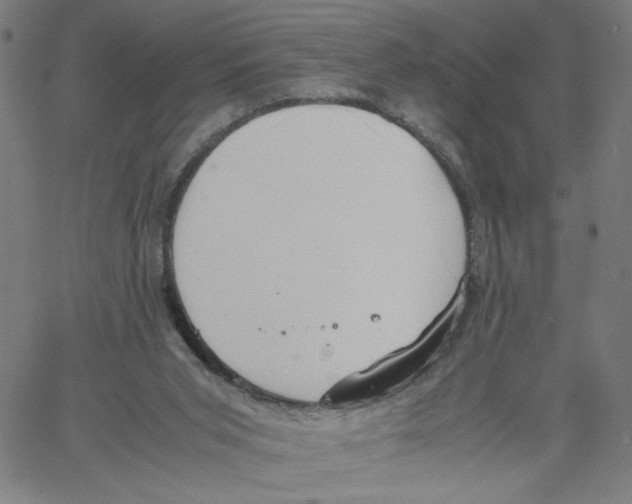 X0000061110015200512161425