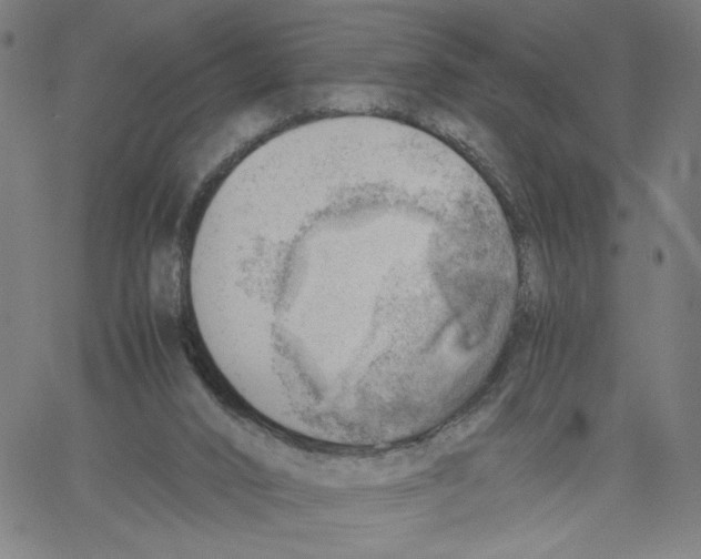 X0000061110016200512161425