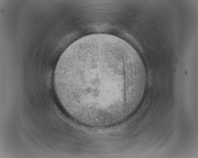 X0000061110018200512161425