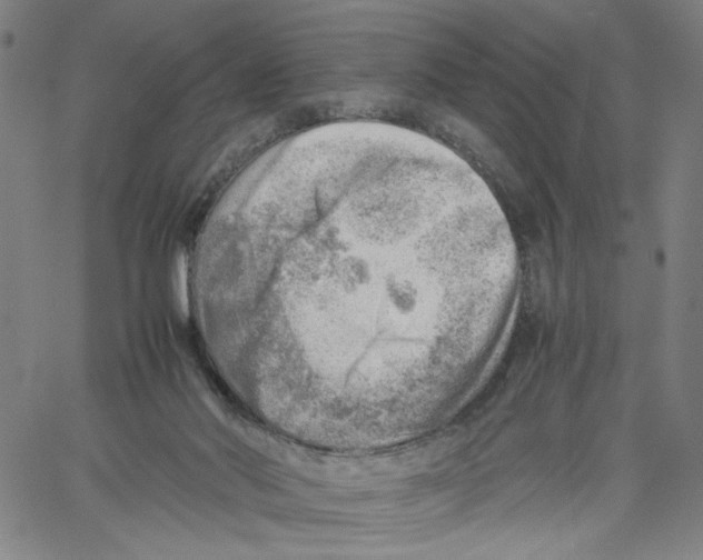 X0000061110022200512161425