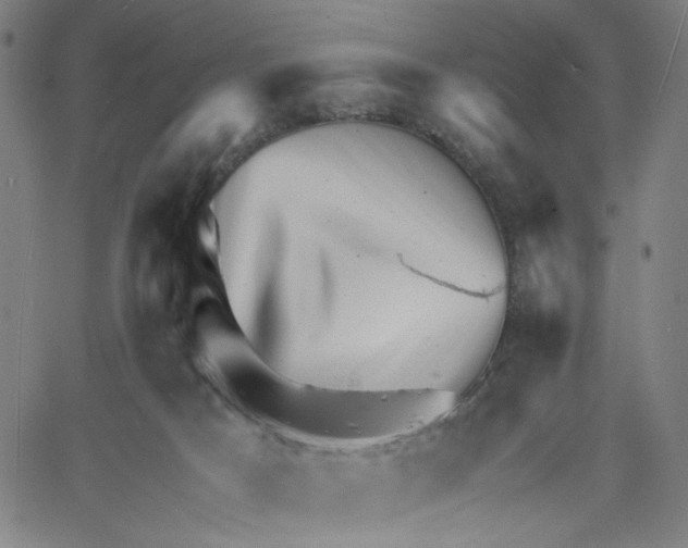 X0000061110025200512161425