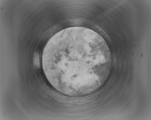 X0000061110026200512161425