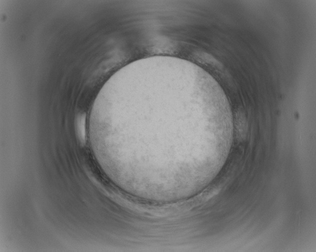 X0000061110028200512161425