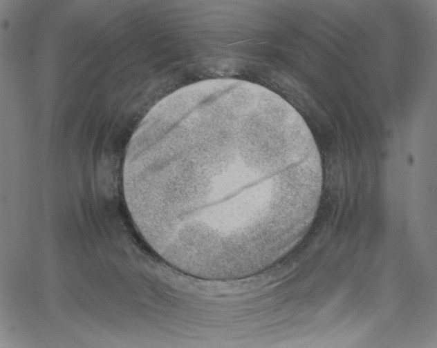 X0000061110030200512161425