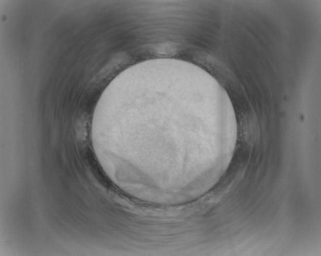 X0000061110032200512161425