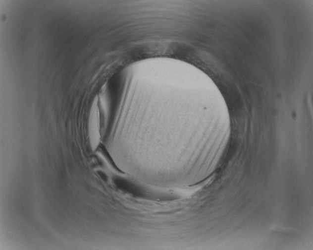 X0000061110035200512161425