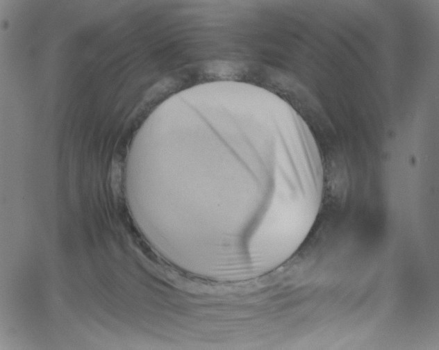 X0000061110036200512161425